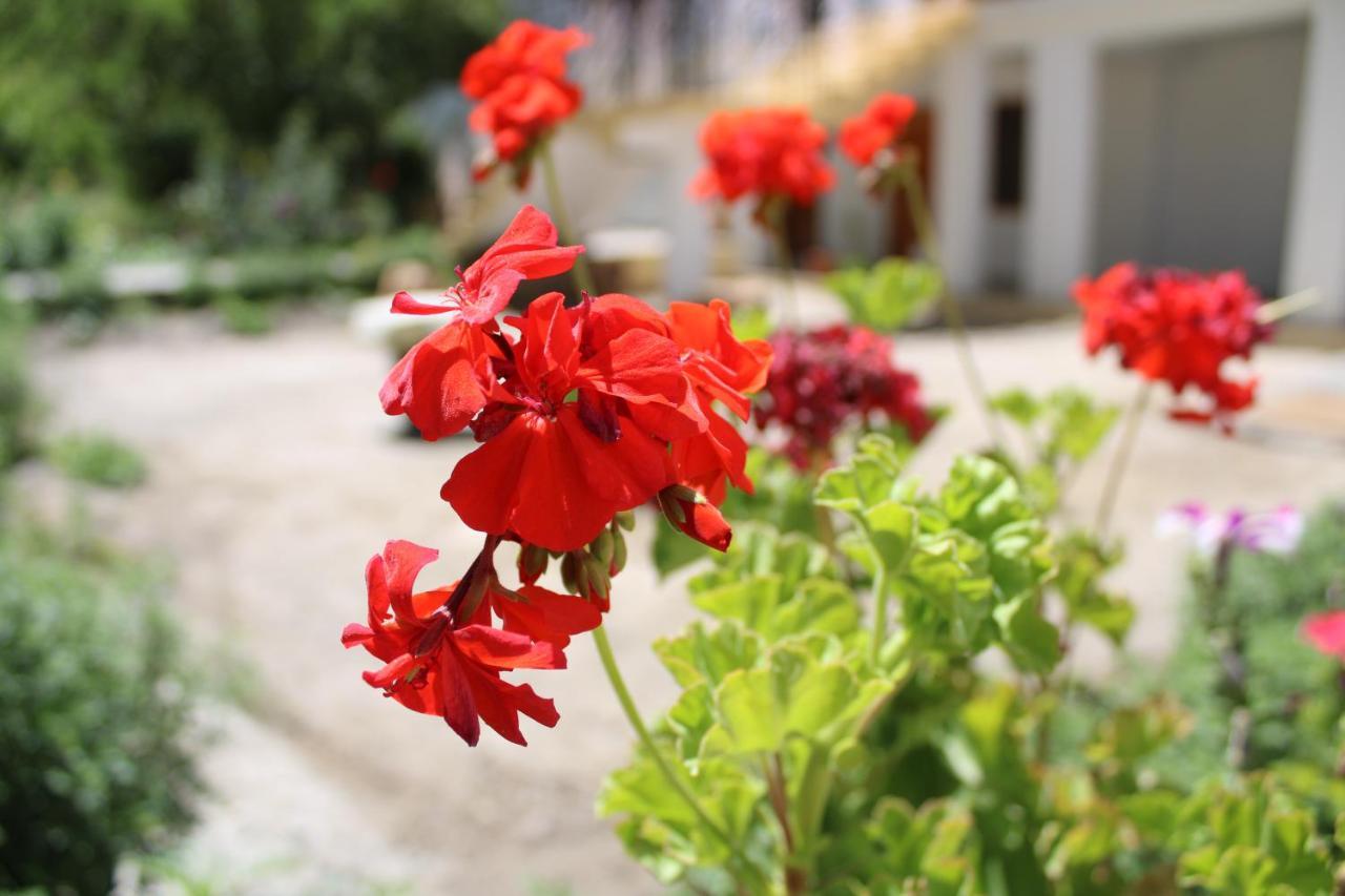Sernang Homestay Hundar ภายนอก รูปภาพ