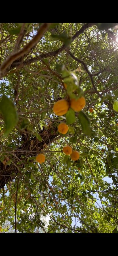 Sernang Homestay Hundar ภายนอก รูปภาพ