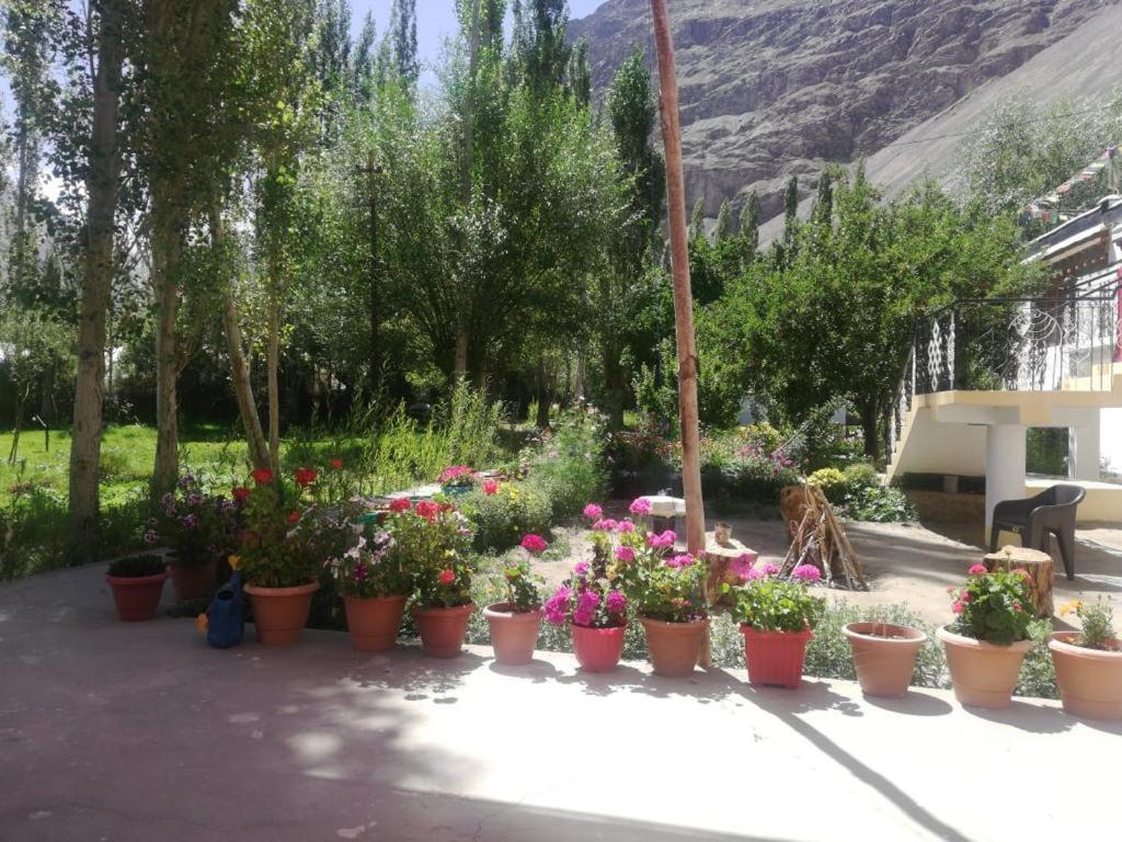 Sernang Homestay Hundar ภายนอก รูปภาพ
